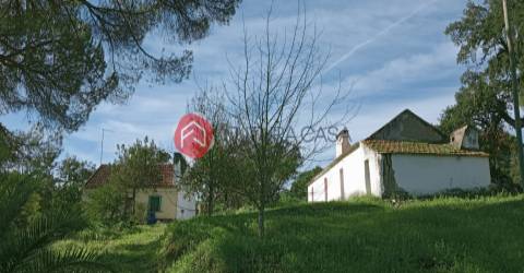 Quintinha com 2 habitações, no concelho de Coruche