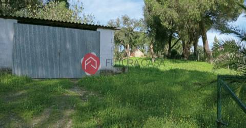 Quintinha com 2 habitações, no concelho de Coruche