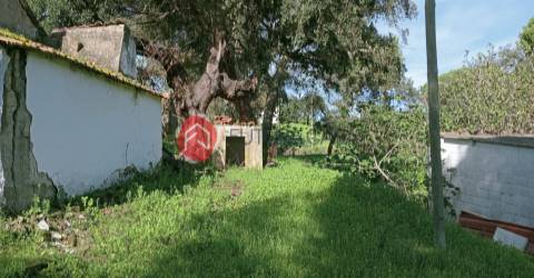 Quintinha com 2 habitações, no concelho de Coruche