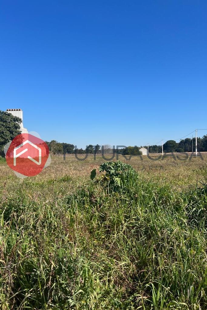 Terreno  Venda em Marinhais,Salvaterra de Magos