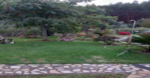 Moradia T3 com 11.000 m&#8203;&#8203;&#8203;&#8203;&#8203;&#8203;&#8203;2 de terreno em Celorico de Basto, Braga