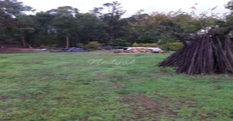 Moradia T3 com 11.000 m&#8203;&#8203;&#8203;&#8203;&#8203;&#8203;&#8203;2 de terreno em Celorico de Basto, Braga