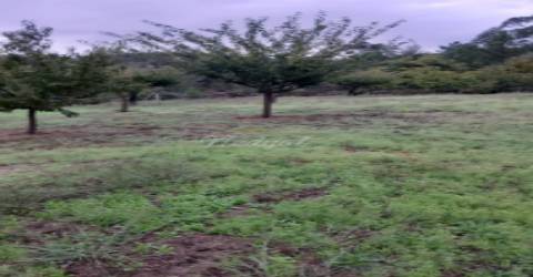 Moradia T3 com 11.000 m&#8203;&#8203;&#8203;&#8203;&#8203;&#8203;&#8203;2 de terreno em Celorico de Basto, Braga