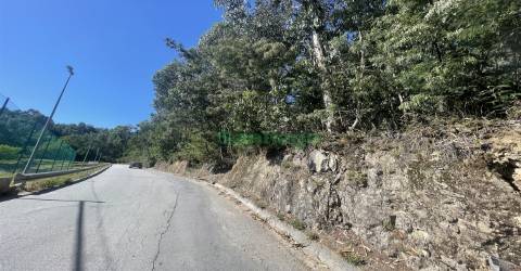 Terreno rústico com Poço e boa exposição solar.