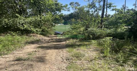 Terreno rústico com Poço e boa exposição solar.