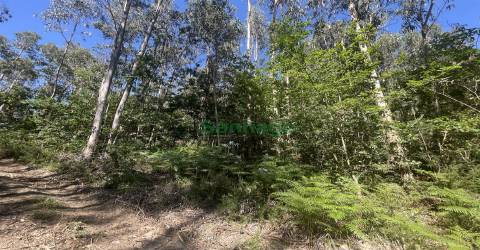 Terreno rústico com Poço e boa exposição solar.