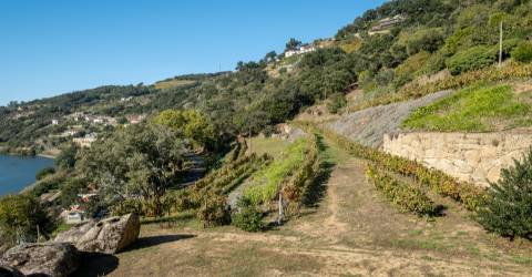 Moradia Isolada T4 - Baião, Santa Marinha do Zêzere