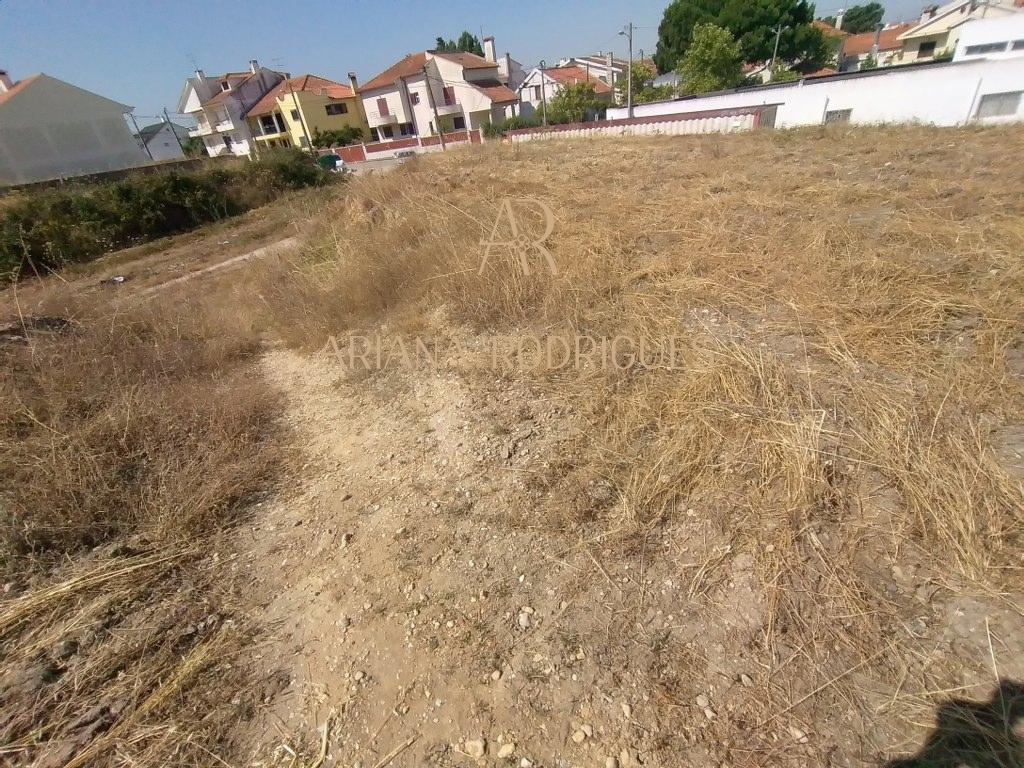 Terreno de 22.000 m2 Foros de Amora