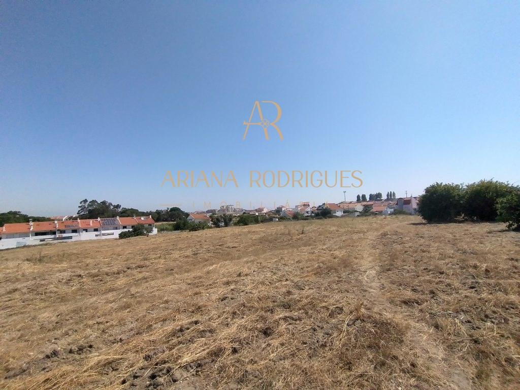 Terreno de 22.000 m2 Foros de Amora