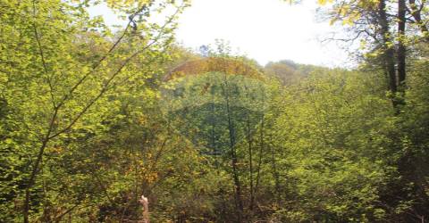 Terreno T0 para venda