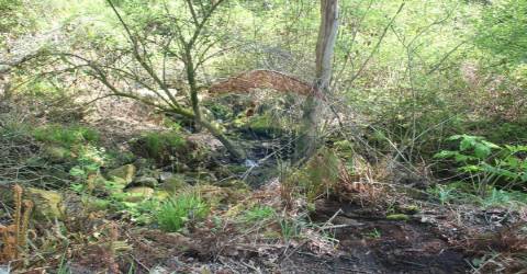 Terreno T0 para venda