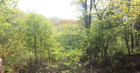 Terreno T0 para venda