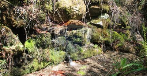 Terreno T0 para venda