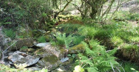 Terreno T0 para venda