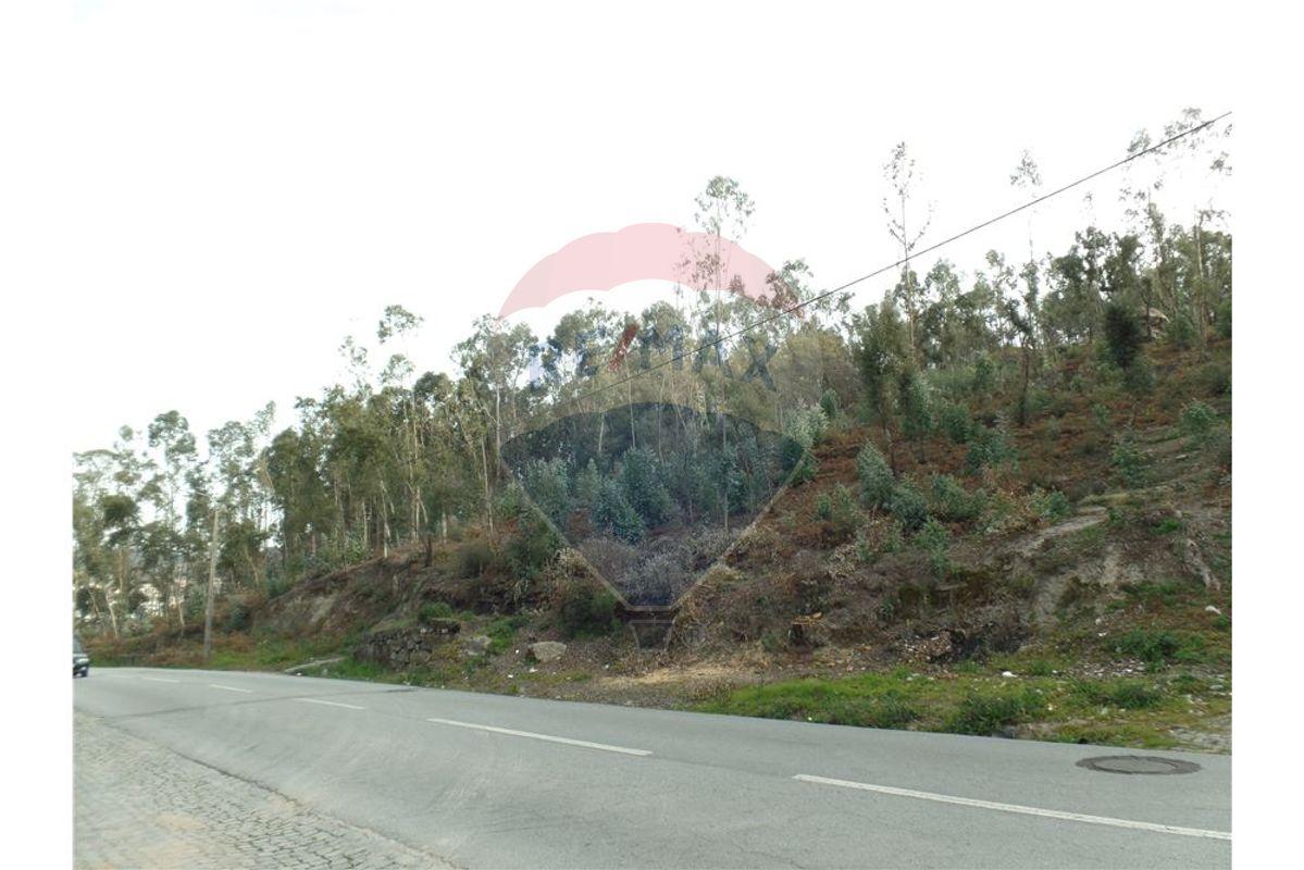 EXCELENTE ESPAÇO FLORESTAL ÀS PORTAS DE BRAGA