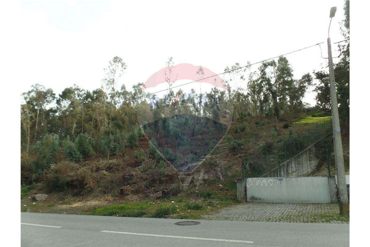 EXCELENTE ESPAÇO FLORESTAL ÀS PORTAS DE BRAGA