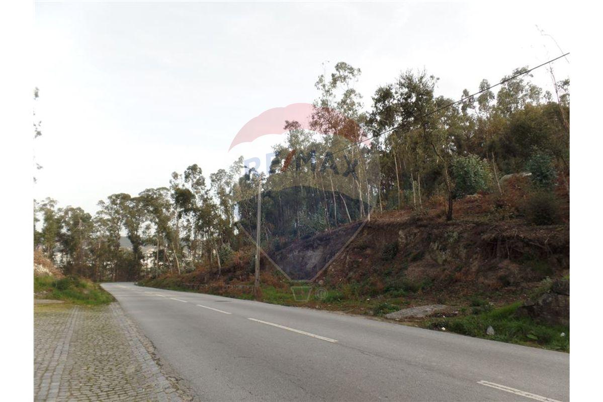 EXCELENTE ESPAÇO FLORESTAL ÀS PORTAS DE BRAGA