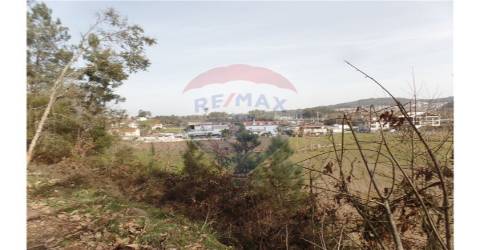 TERRENO FLORESTAL EM ZONA DE IMENSA TRANQUILIDADE
