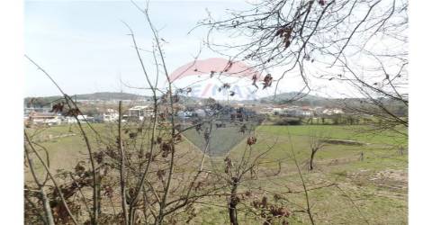 TERRENO FLORESTAL EM ZONA DE IMENSA TRANQUILIDADE