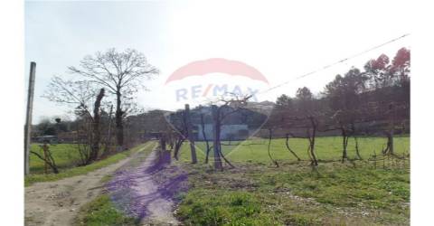 TERRENO FLORESTAL EM ZONA DE IMENSA TRANQUILIDADE