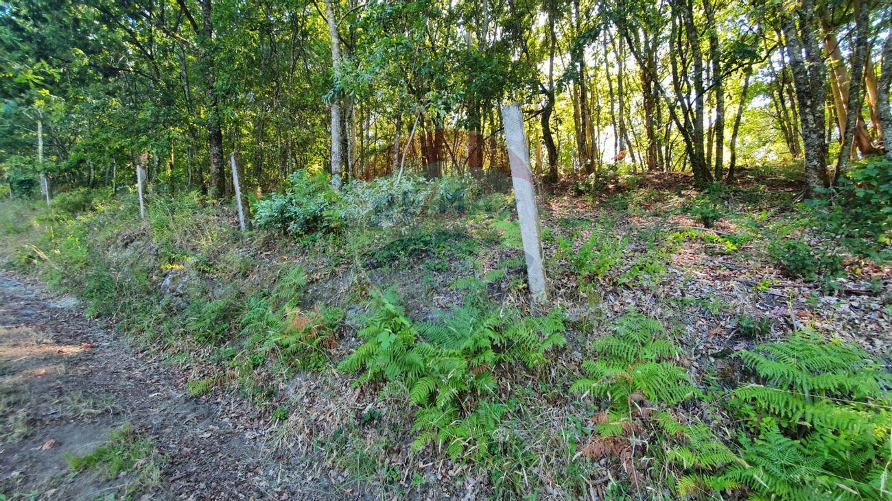 Terreno  para venda