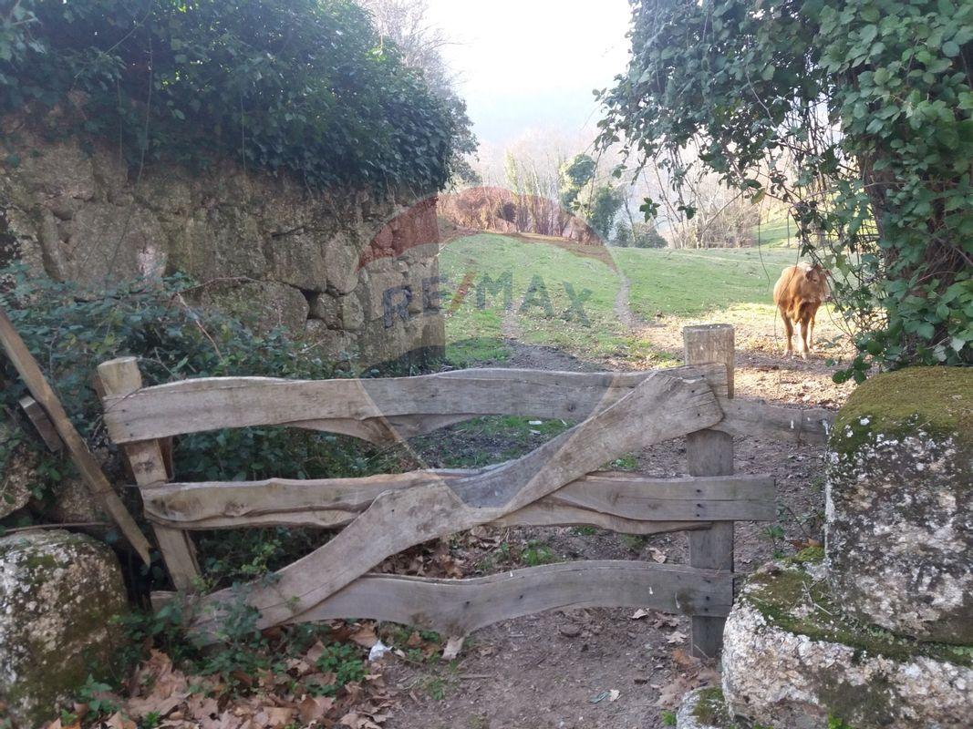 Terreno  para venda