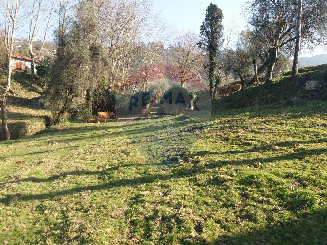 Terreno  para venda