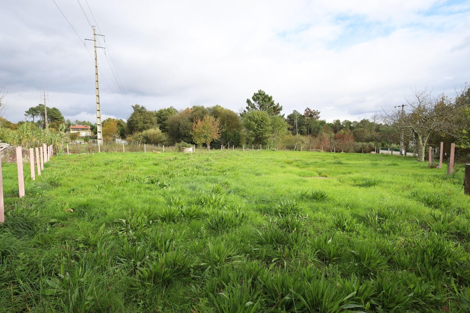 Terreno para construção a 5 minutos do centro de Viseu.