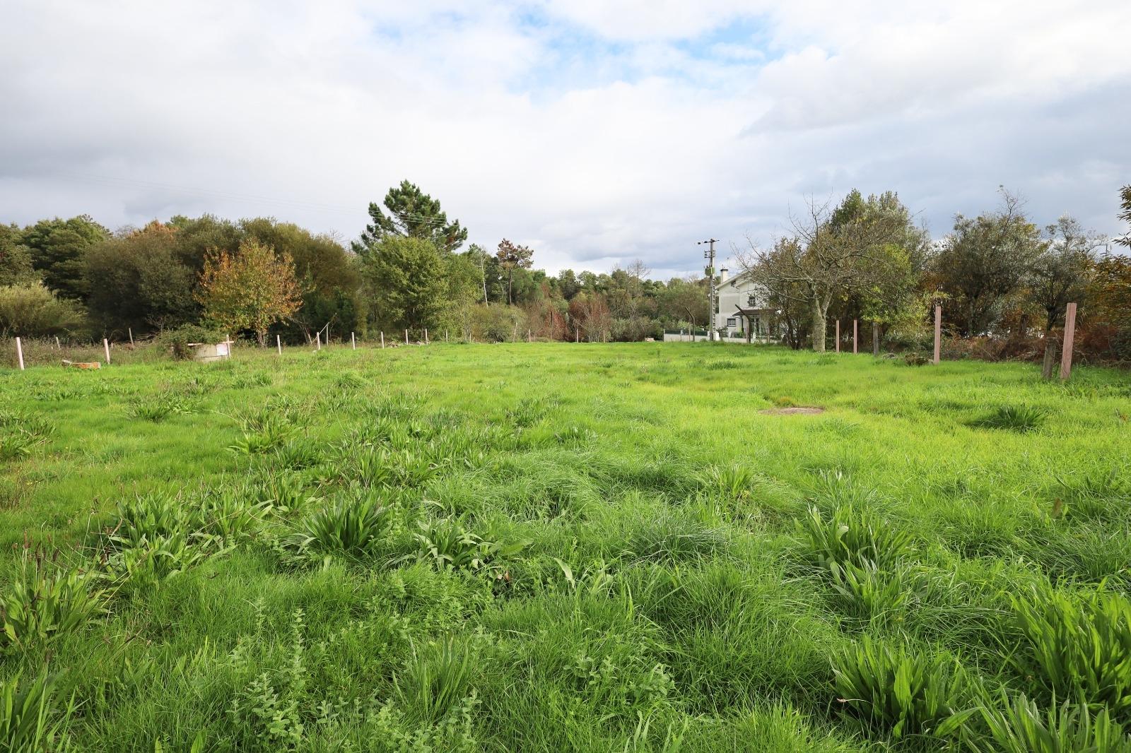 Terreno para construção a 5 minutos do centro de Viseu.