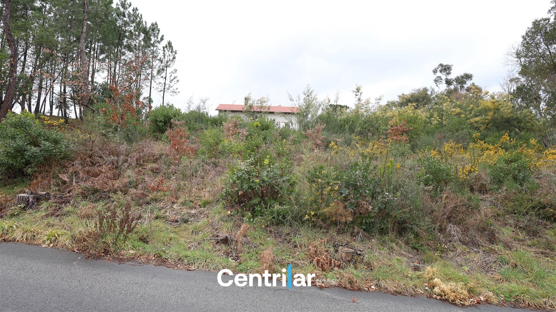 Terreno Para Construção  Venda em Mangualde, Mesquitela e Cunha Alta,Mangualde