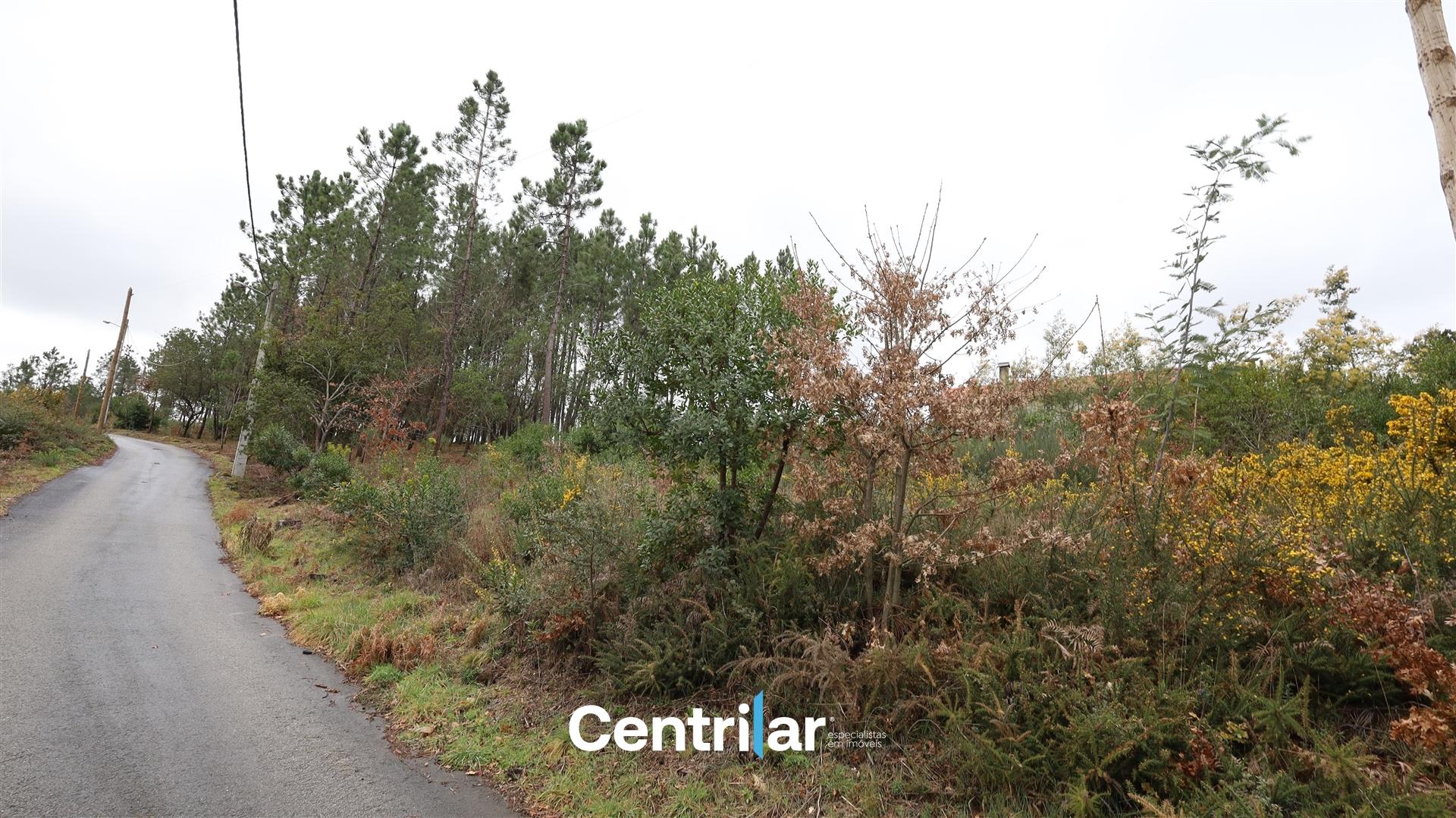 Terreno Para Construção  Venda em Mangualde, Mesquitela e Cunha Alta,Mangualde