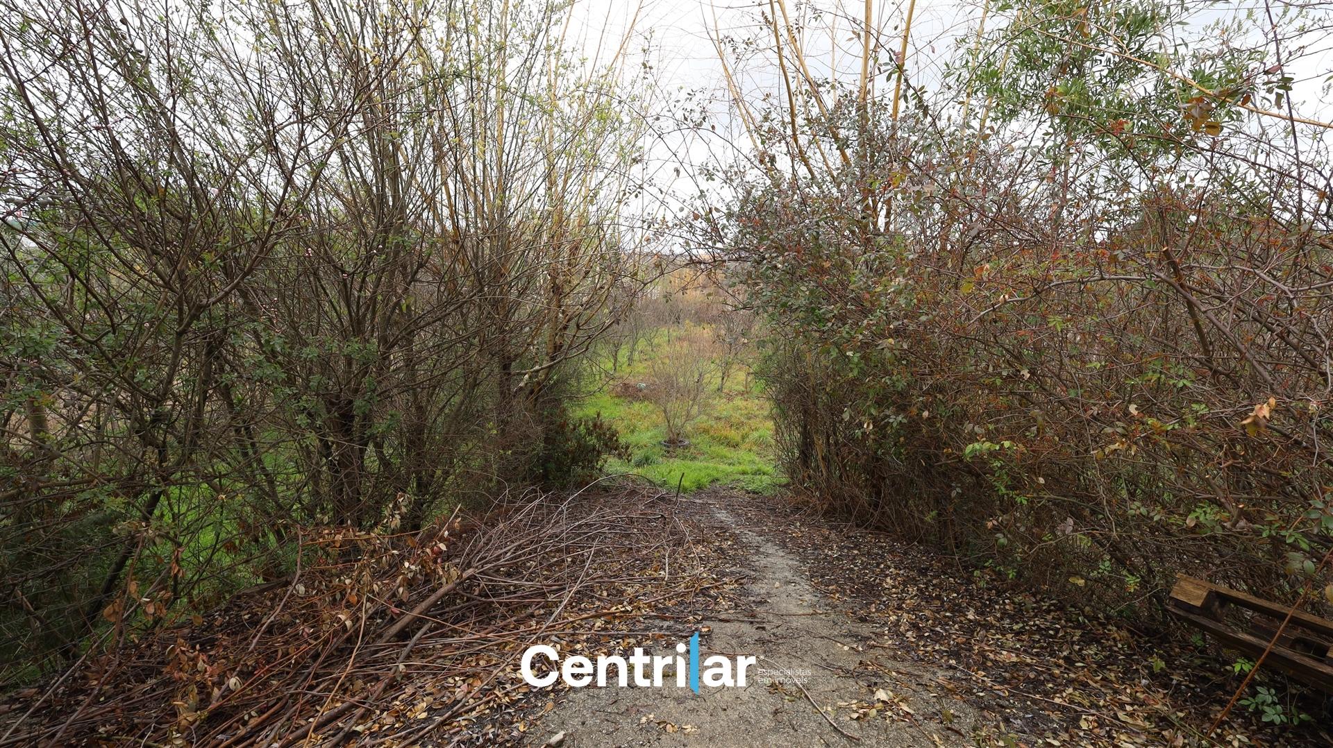 Terreno com 1200m2, para construção,  no centro de Mangualde