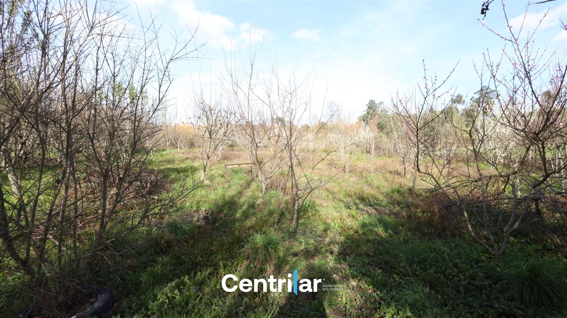 Terreno com 1200m2, para construção,  no centro de Mangualde