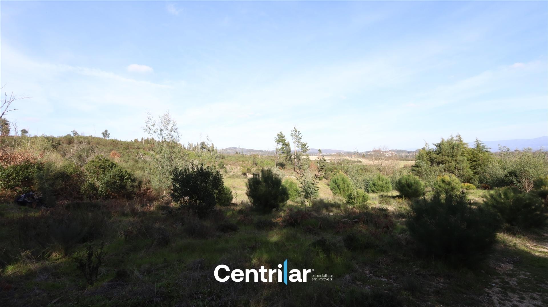 Terreno com 2 hectares