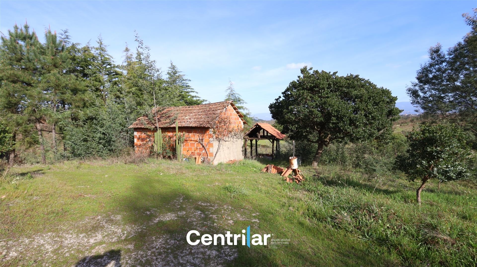 Terreno com 2 hectares