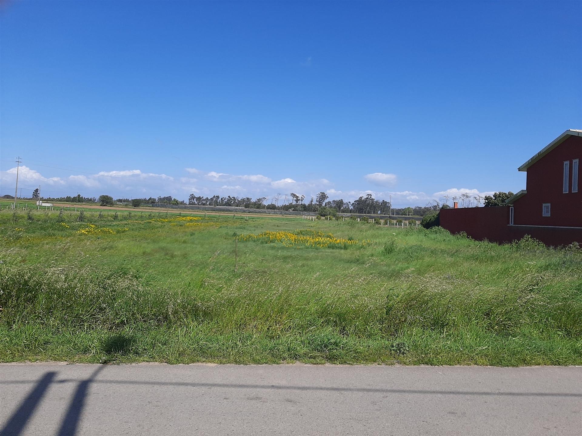 Terreno Para Construção  Venda em Ouca,Vagos