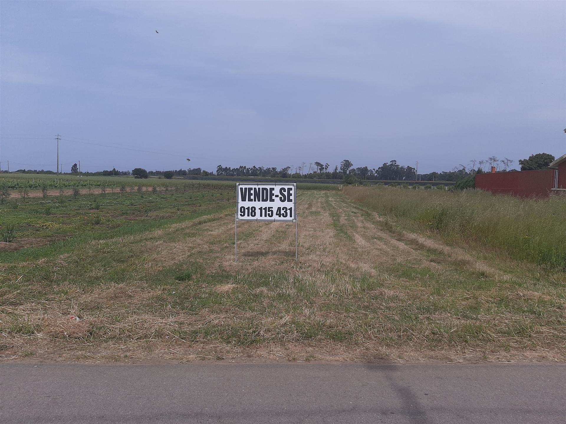 Terreno Para Construção  Venda em Ouca,Vagos