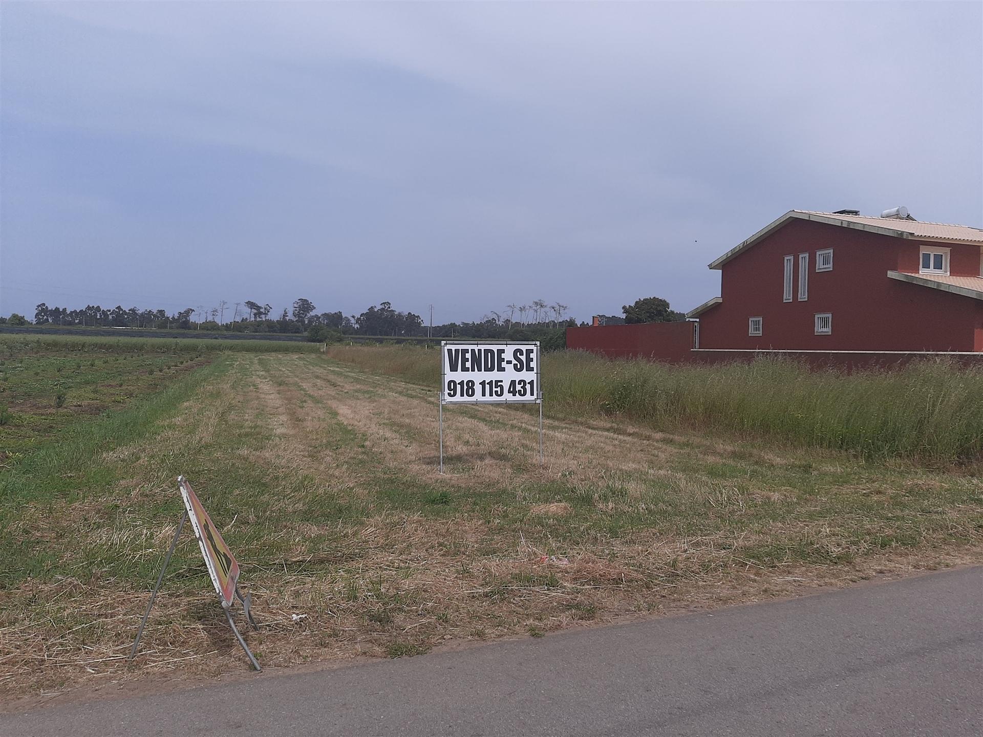 Terreno Para Construção  Venda em Ouca,Vagos