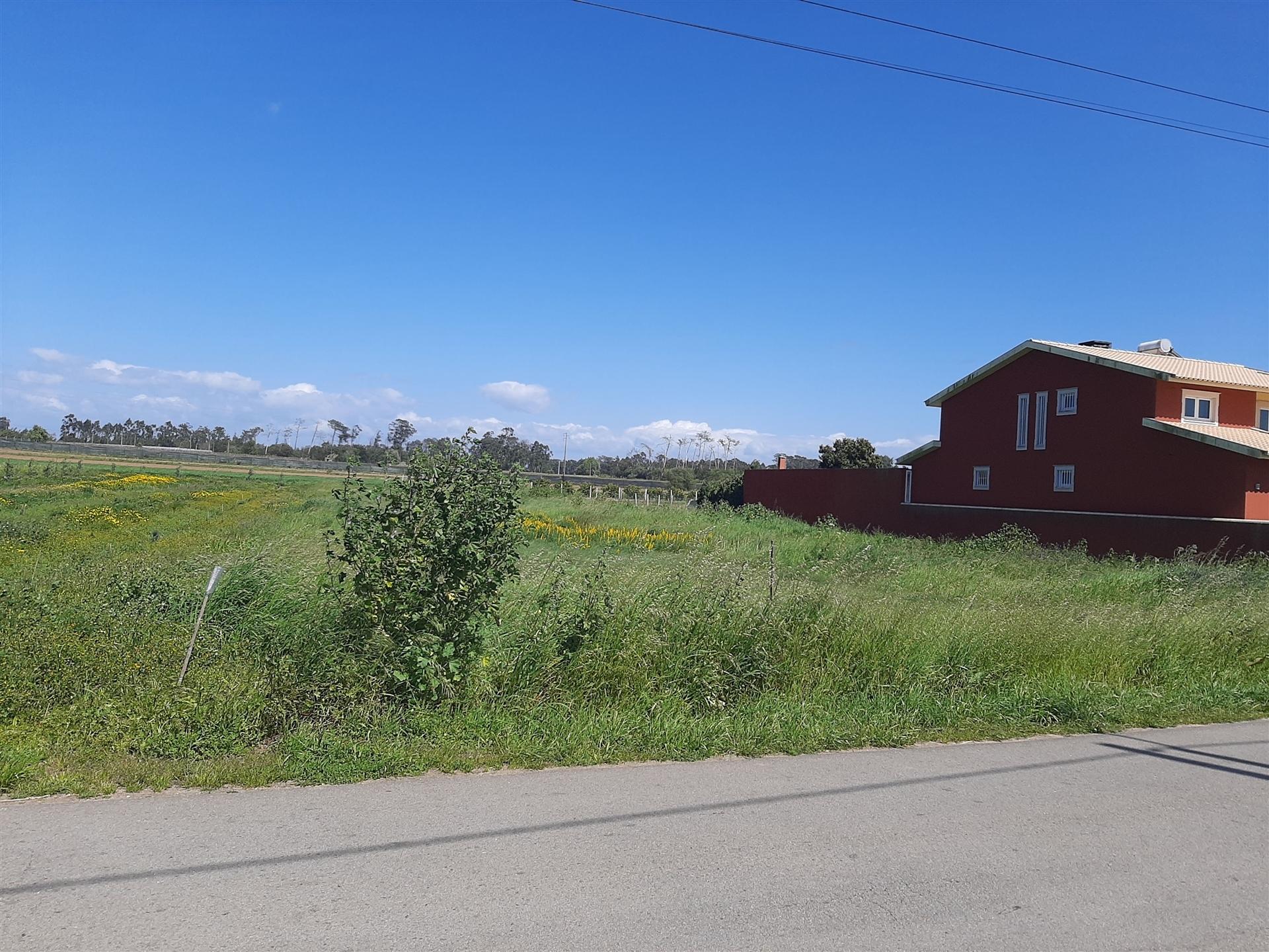 Terreno Para Construção  Venda em Ouca,Vagos