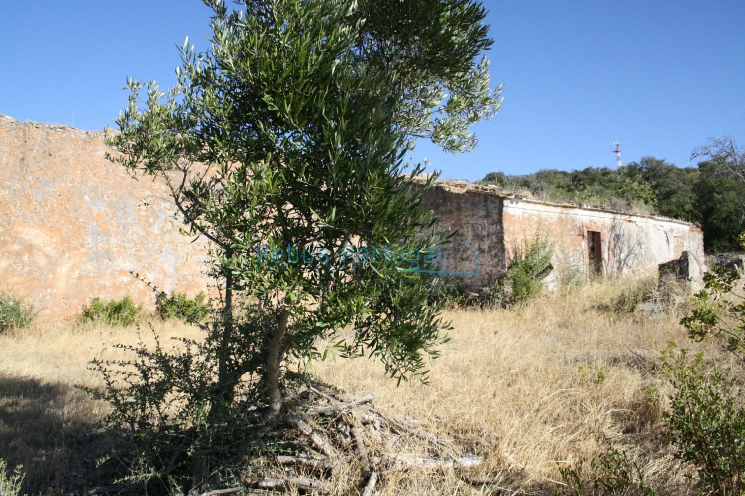 Terreno com 2 ruínas, com vista de campo e mar ao fundo