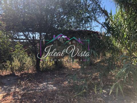 Moradia Isolada T1 Venda em Vilarinho do Bairro,Anadia