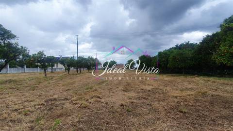 Terreno, Aveiro, Águeda, Recardães e Espinhel