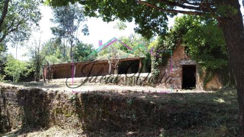 Terreno Rústico  Venda em Águeda e Borralha,Águeda