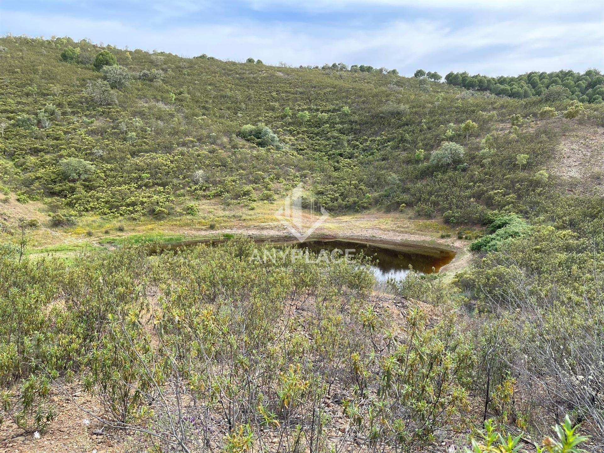 Herdade com enorme potencial.