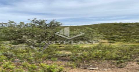 Herdade com enorme potencial.