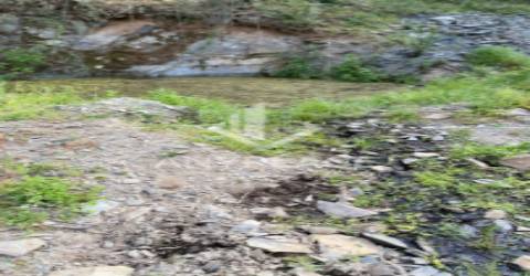 Herdade com enorme potencial.