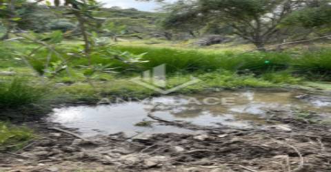 Herdade com enorme potencial.