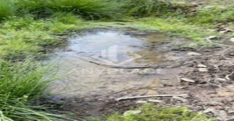 Herdade com enorme potencial.