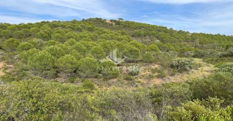 Herdade com enorme potencial.