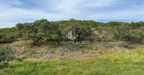 Herdade com enorme potencial.